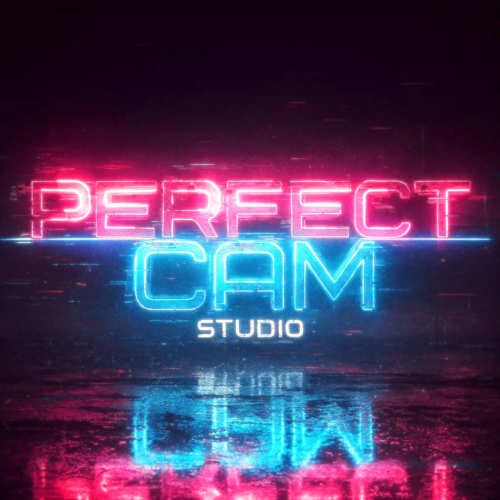 PerfectCam