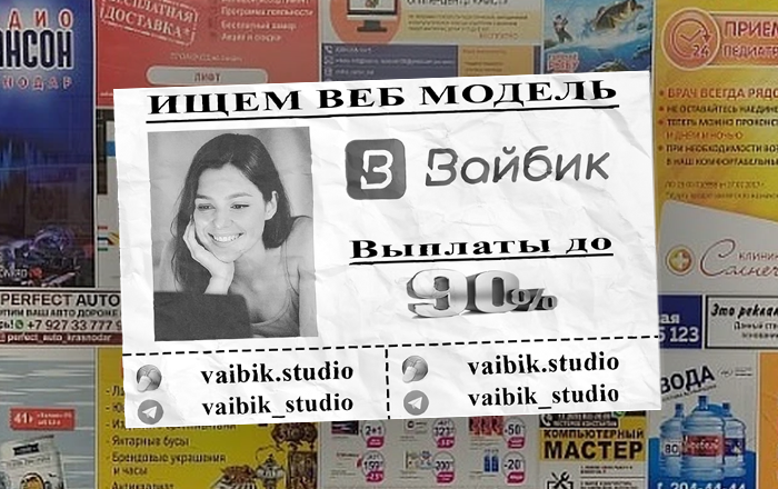 Вайбик Studio